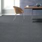 Shaw Acadia Park Carpet in Mineralite, , large