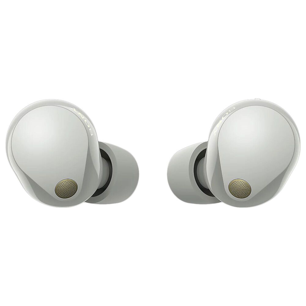 Sony Truly Wireless Noise Canceling Earbuds in Sliver, , large