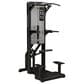 FreeMotion Epic Selectorized Dip-Chin Assist in Black, , large