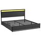 HOMLUX 2-Drawer King Storage Bed with LED Headboard and USB Ports in Gray, , large