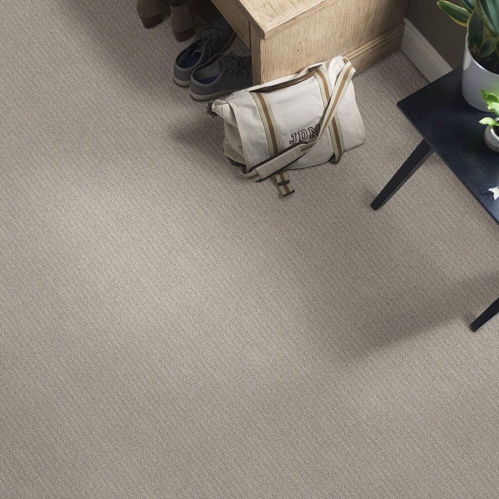 Shaw Foundations Complete Control Carpet in Silhouette, , large