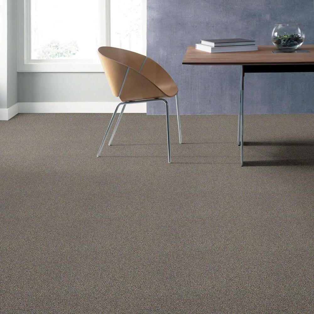 Anderson Tuftex Acadia Park Carpet in Elusive, , large