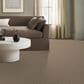 Anderson Tuftex Charismatic Carpet in Palm Desert, , large
