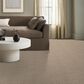 Shaw Home Within Carpet in Worn Path, , large