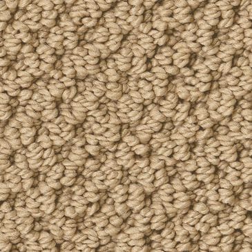 Anderson Tuftex Gracious Carpet in Sisal, , large
