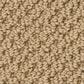 Anderson Tuftex Gracious Carpet in Sisal, , large