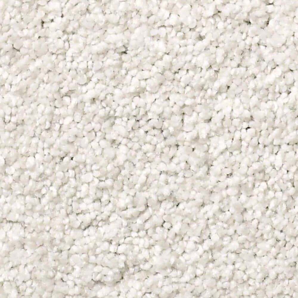 Shaw Tonal Comfort Ii Carpet in Neighborhood Bistro, , large