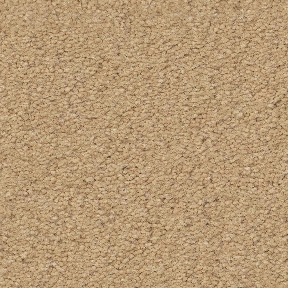 Anderson Tuftex Finery Carpet in Buttercup, , large