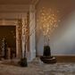 HOMLUX 32" Willow Branch with 100 LED Lights in Brown, , large