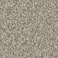 Shaw Imaginable III Carpet in Granite Dust, , large