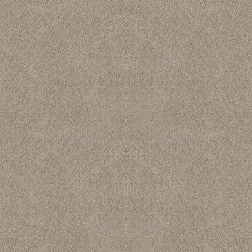 Dixie Home Winding Creek Premier Carpet in Overcast, , large