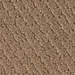 Shaw Simply Classic Carpet in Worn Path, , large