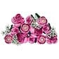 LEGO Botanicals 10374, , large