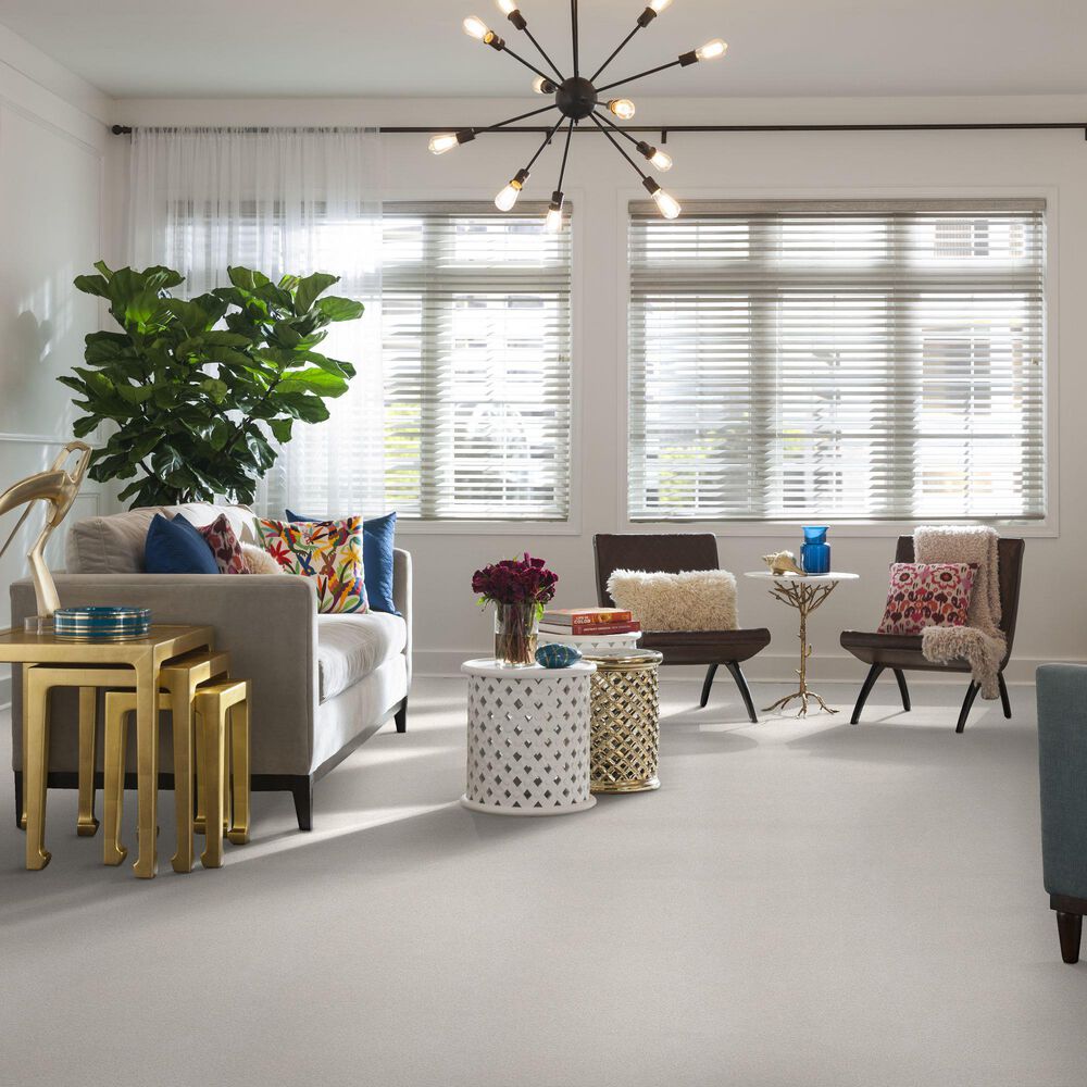 Shaw Find Your Comfort TT II Carpet in Clean Linen, , large