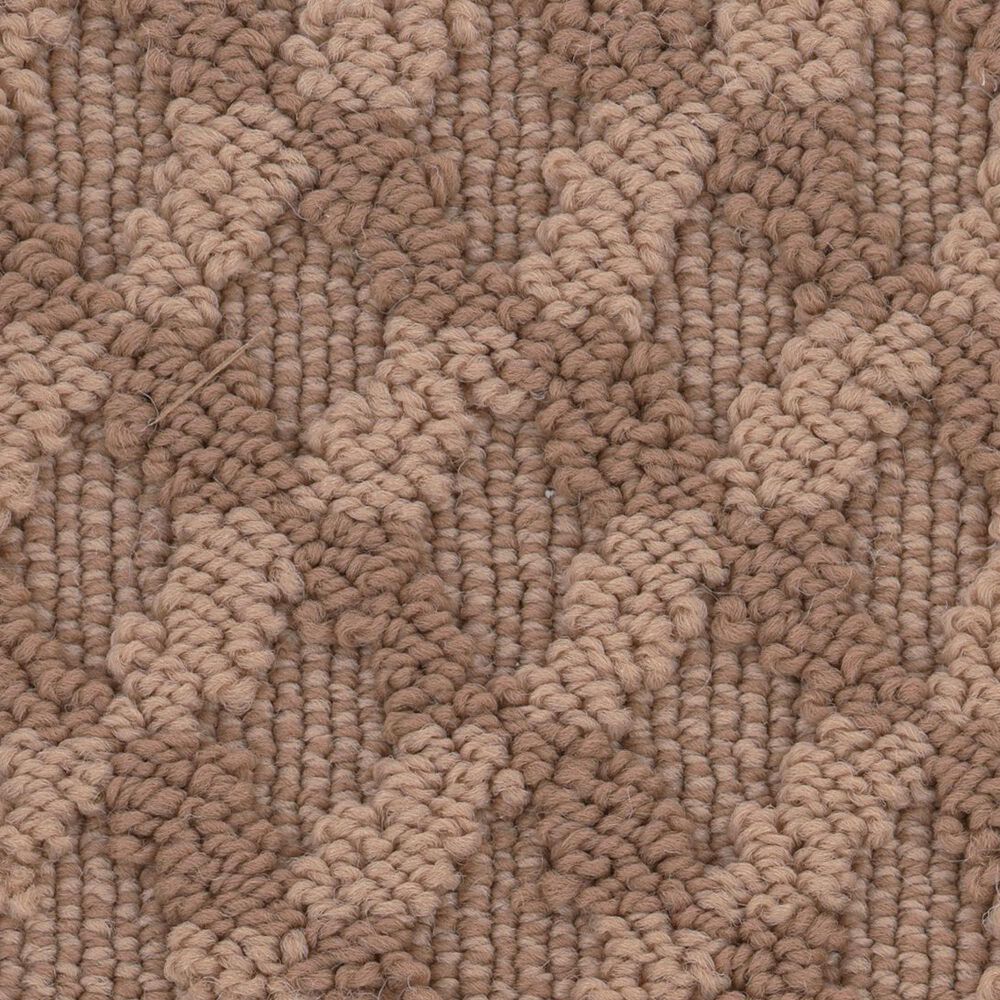 Anderson Tuftex Inspired Design Carpet in Sunbaked, , large