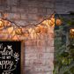 The Gerson Company 6" Sphere Rattan Patio String Lights with Warm White Mini LED Bulbs, , large