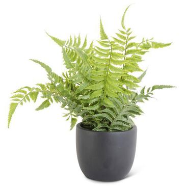 K & K Interiors 13" Fern in Black Pot, , large