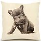 Eric & Christopher French Bulldog 20" x 20" Throw Pillow in Natural, , large