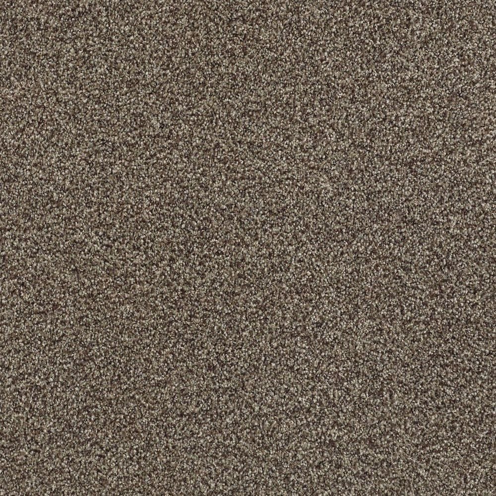 Shaw Tonal Comfort Ii Carpet in Summer House, , large