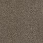 Shaw Tonal Comfort Ii Carpet in Summer House, , large