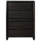 Urban Home Xolani 5-Drawer Chest in Jaguar, , large