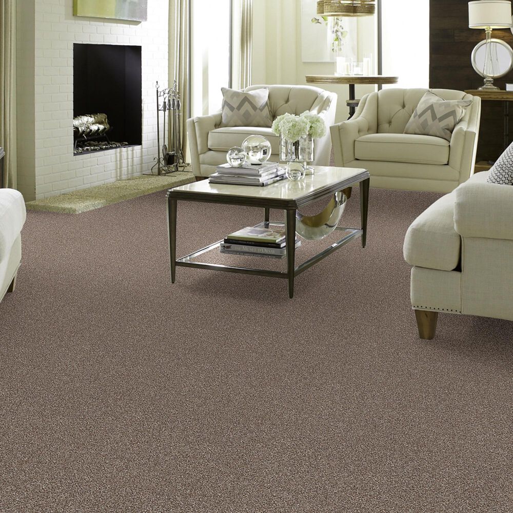 Shaw Just Right II Carpet in Fox Hollow, , large
