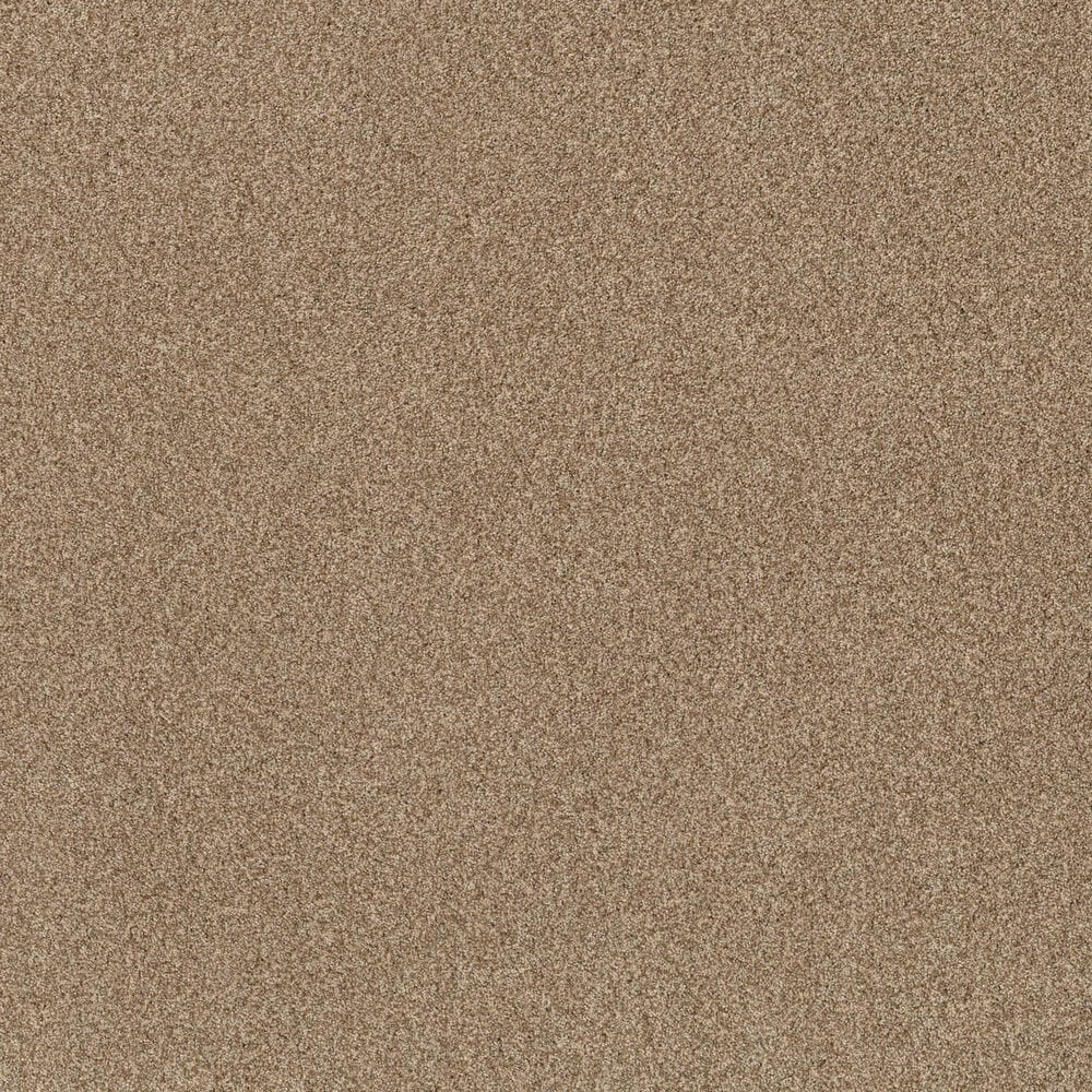 Anderson Tuftex Terra Nova Carpet in Hazel, , large
