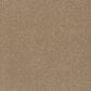 Anderson Tuftex Terra Nova Carpet in Hazel, , large