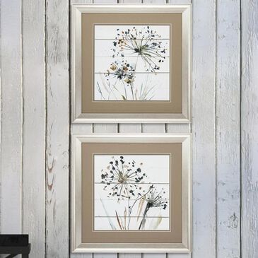 Propac Natures Lace Framed Art (Set of 2), , large