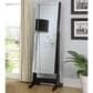 Pacific Landing Storage Jewelry Cheval Mirror in Black, , large