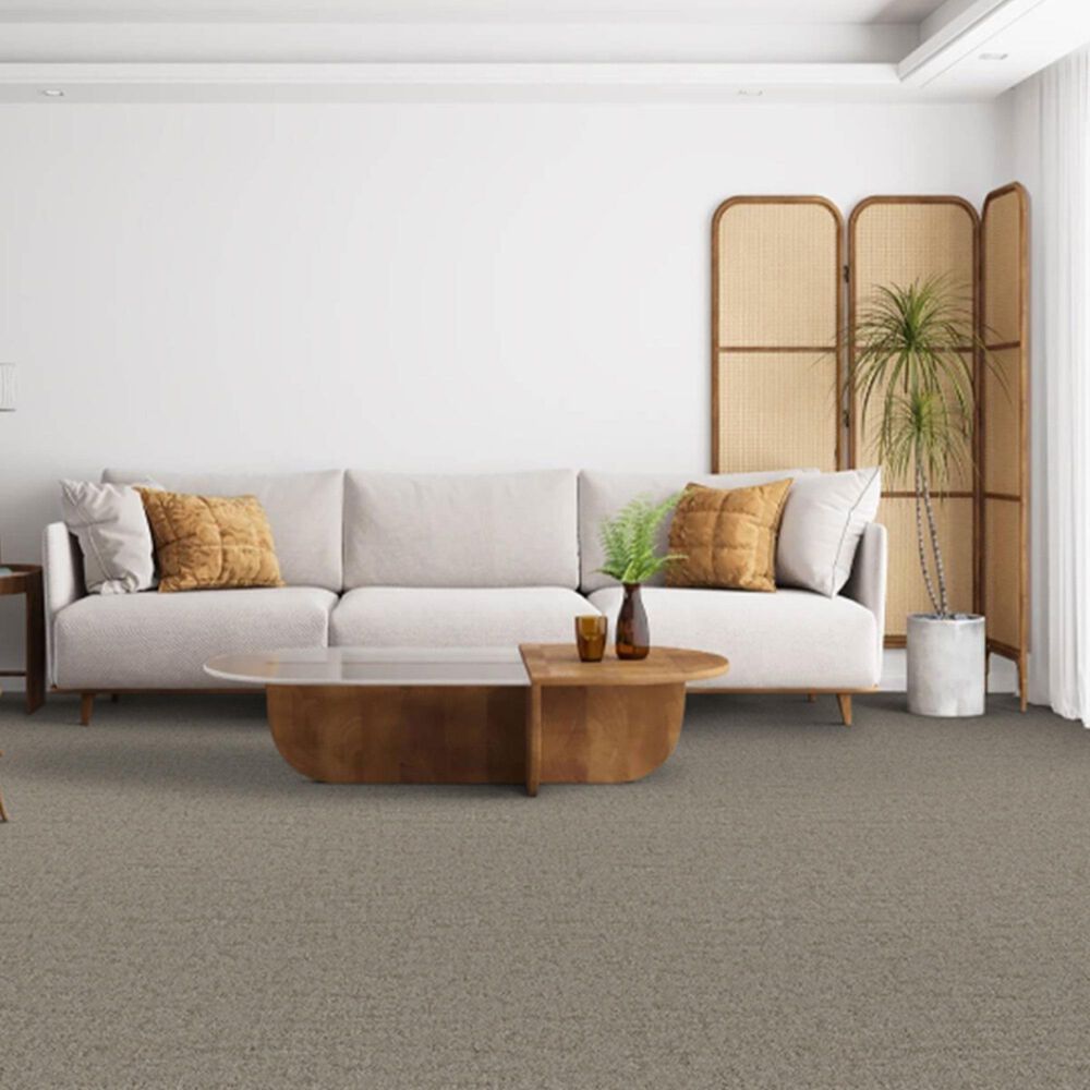 Dixie Home Genuine Carpet in Undeniable, , large