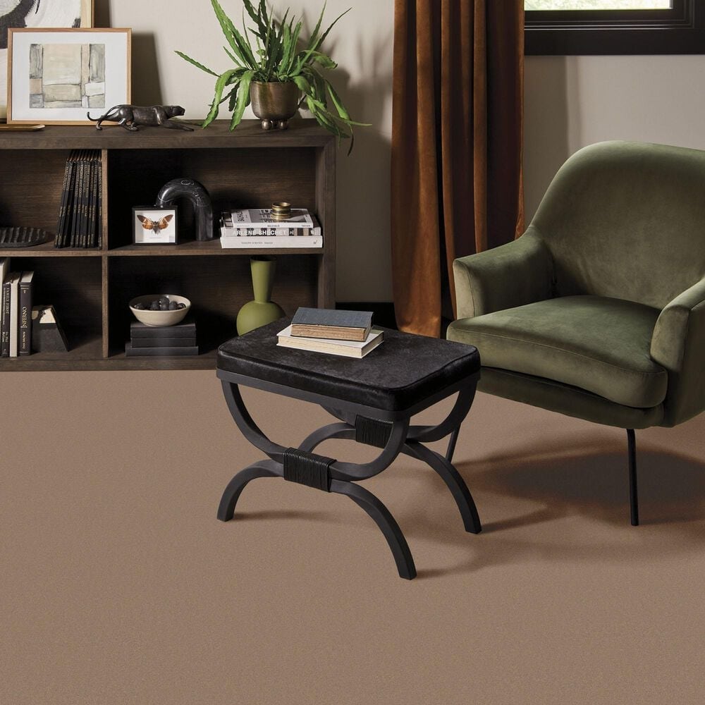 Anderson Tuftex Finery Carpet in Crisp Tan, , large