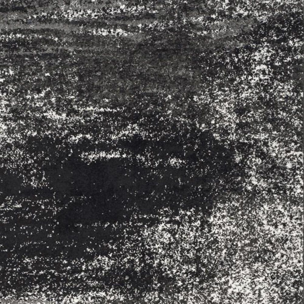 Safavieh Adirondack ADR112A 4&#39; Round Silver and Black Area Rug, , large