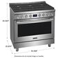 Frigidaire Professional 36" Gas Range with True Convection in Stainless Steel, , large