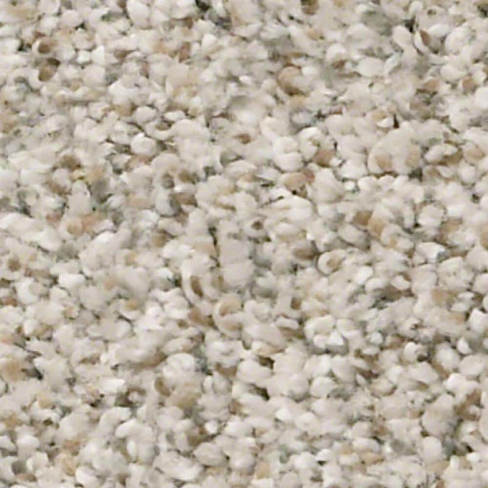 Shaw Make it Work Carpet in Nature"s Essentials, , large