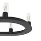 Hunter Saddlewood 10-Light Chandelier in Natural Iron, , large