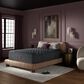 Simmons World Class Level Four Firm Pillow Top Twin XL Mattress with High Profile Box Spring, , large