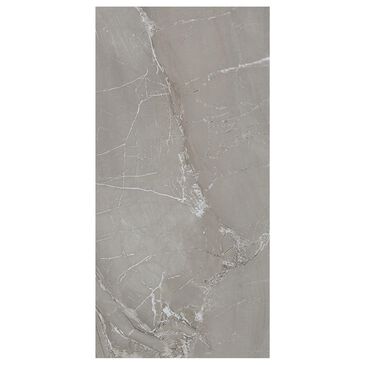Dal-Tile Famed Fortune 12" x 24" Porcelain Tile, , large