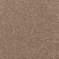 Karastan Classic Comfort Carpet in Enigma, , large