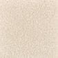 Mohawk Homefront III 2R33 Carpet in Lucky Pearl, , large