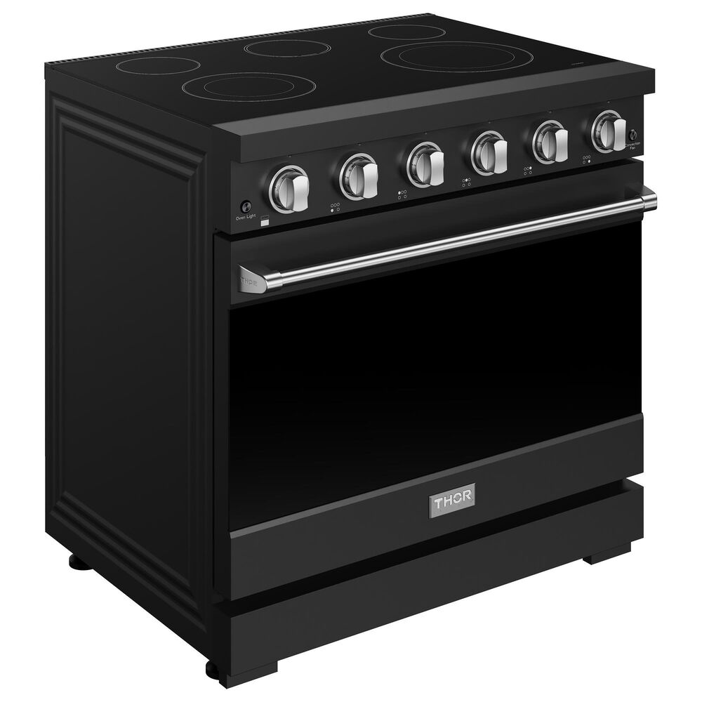Thor Kitchen Gordon Ramsay 6 Cu. Ft. Professional Freestanding Electric Range with Stainless Steel Handle Kit in Black, , large