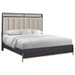 Sterling Timber Elure 5 Piece Queen Upholstered and Strap Panel Bedroom Set in Peppercorn, , large