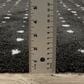 Oriental Weavers Galileo GAL04 Black and Ivory 5"3" x 7"6" Area Rug, , large