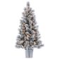 The Gerson Company 4.5" Potted Pre-Lit Flocked Pine Artificial Needle Boise Pine with White Lights in Green, , large