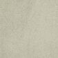 Anderson Tuftex Barracan Classic II Carpet in Celadon, , large