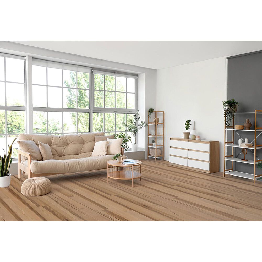 Paramount Forester Champagne 3 1/4" Maple Solid Hardwood, , large