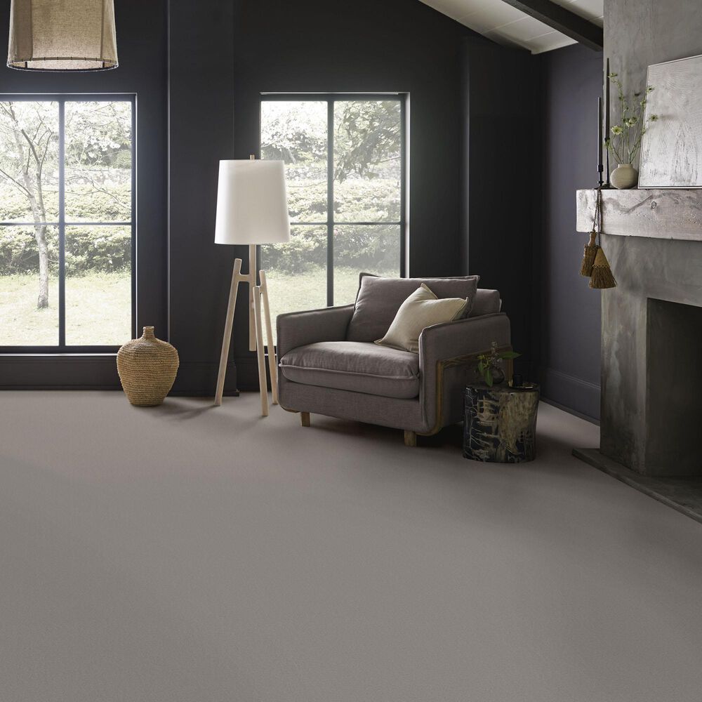 Anderson Tuftex Finery Carpet in Stone, , large