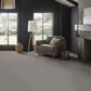Anderson Tuftex Finery Carpet in Stone, , large