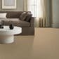 Anderson Tuftex Gracious Carpet in Plateau, , large
