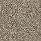 Shaw Simply the Best Momentum I Carpet in Hickory Manor, , large
